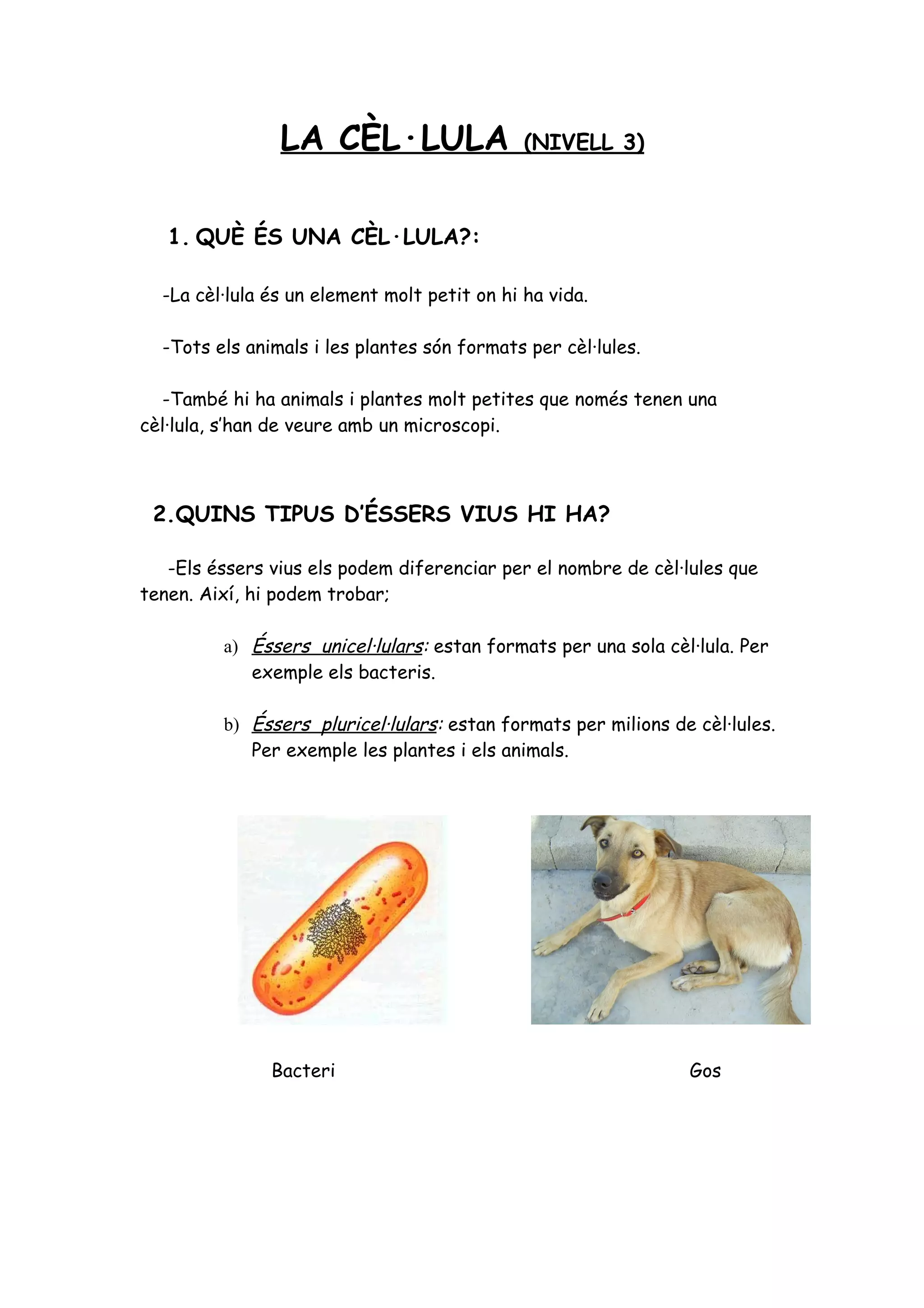 Exercicis la cèl·lula nivells 1, 2 i 3