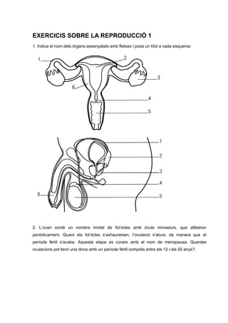 EXERCICIS SOBRE LA REPRODUCCIÓ 1
1. Indica el nom dels òrgans assenyalats amb fletxes i posa un títol a cada esquema:




2. L’ovari conté un nombre limitat de fol·licles amb òvuls immadurs, que alliberen
periòdicament. Quant els fol·licles s’exhaureixen, l’ovulació s’atura, de manera que el
període fèrtil s’acaba. Aquesta etapa es coneix amb el nom de menopausa. Quantes
ovulacions pot tenir una dona amb un període fèrtil comprès entre els 12 i els 50 anys?.
 