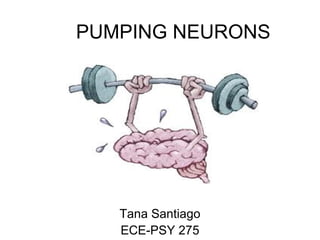 PUMPING NEURONS




   Tana Santiago
   ECE-PSY 275
 