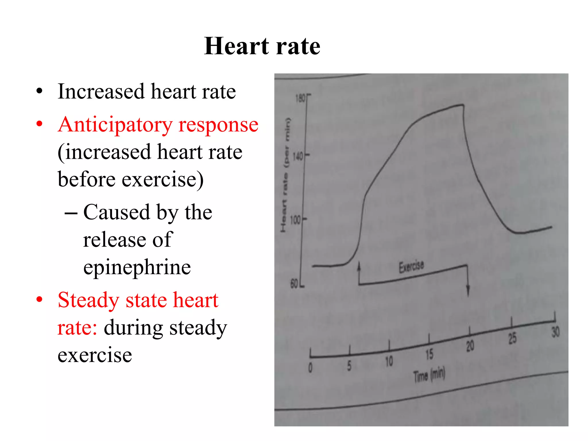 Inticipatory Rise Graph cardiopulmonary changes in exercise | PPTX