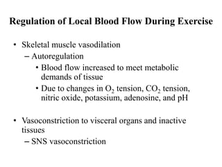 Regulation of Local Blood Flow During Exercise
• Skeletal muscle vasodilation
– Autoregulation
• Blood flow increased to meet metabolic
demands of tissue
• Due to changes in O2 tension, CO2 tension,
nitric oxide, potassium, adenosine, and pH
• Vasoconstriction to visceral organs and inactive
tissues
– SNS vasoconstriction
 