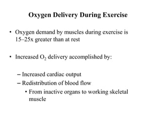 Oxygen Delivery During Exercise
• Oxygen demand by muscles during exercise is
15–25x greater than at rest
• Increased O2 delivery accomplished by:
– Increased cardiac output
– Redistribution of blood flow
• From inactive organs to working skeletal
muscle
 
