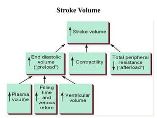Stroke Volume
 