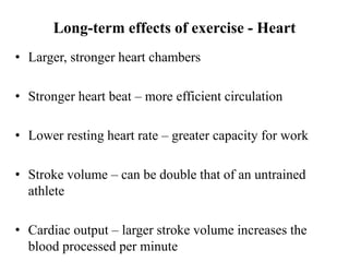 Long-term effects of exercise - Heart
• Larger, stronger heart chambers
• Stronger heart beat – more efficient circulation
• Lower resting heart rate – greater capacity for work
• Stroke volume – can be double that of an untrained
athlete
• Cardiac output – larger stroke volume increases the
blood processed per minute
 