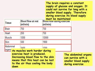 The brain requires a constant supply of glucose and oxygen. It could not survive for long with a smaller blood supply. Therefore during exercise its blood supply must be maintained The abdominal organs can survive with a smaller blood supply during exercise As muscles work harder during exercise heat is produced. Increasing blood flow to the skin means that this heat can be lost to the air thus cooling the body down 