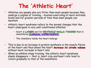 The ‘Athletic Heart’ Athletes are people who are fitter than most people because they undergo a regime of training - involves exercising at more extreme levels and for greater periods of time than most people can maintain Athletic heart syndrome refers to the normal changes that the heart undergoes in very well conditioned athletes: heart is  LARGER  and its  VENTRICLE   WALLS THICKER  than in nonathletes  [CARDIAC HYPERTROPHY] The chambers inside the heart enlarge  This is due to  an increase in protein synthesis in the muscle fibres of the heart and thus  allows the heart  increase its  stroke volume   without much increase in heart rate When an athlete stops training, the athletic heart syndrome slowly disappears — that is, heart size and heart rate tend to return gradually to that of the nonathlete 