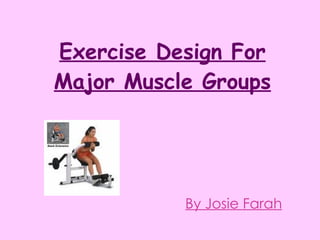 Exercise Design For Major Muscle Groups By Josie Farah 