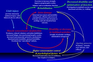 Higher sensoromotor control & psychological factors Decreased motivation, loss of confidence, fear of pain or (re)injury. Muscle sensorimotor dysfunction Weakness, reduced voluntary activation (inhibition), increased fatigue, decreased proprioceptive acuity, decreased neuromuscular protective mechanisms, functional joint instability, postural instability. Persistent but “sub-clinical” deficits. Ageing process Weakness , articular wear and tear, slow reflexes.   Decreased disability and optimisation of function. Participation in habitual exercise and functional activities, i.e. walking.  Limb injury   previous   innocuous, unilateral injury with bilateral adverse affects. Joint damage Abnormal movement and instability causing pain, effusion and stress on articular structures, microtrauma to cartilage and sub-chondral bone sclerosis. Disability or decrease in habitual activities  Atrophy of articular cartilage, subchondral osteoporosis Exercises to increase strength, improve proprioceptive acuity, balance/ and co-ordination, function   Rehabilitation   