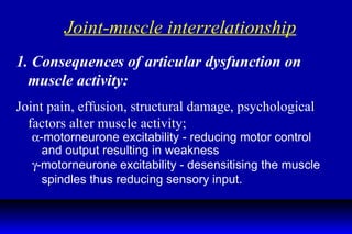 Joint-muscle interrelationship 1. Consequences of articular dysfunction on muscle activity: Joint pain, effusion, structural damage, psychological factors alter muscle activity;  -motorneurone excitability - reducing motor control and output resulting in weakness  -motorneurone excitability - desensitising the muscle spindles thus reducing sensory input. 