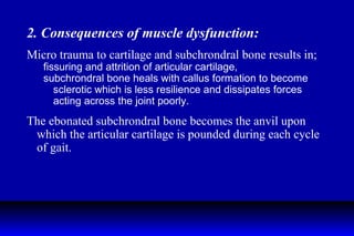 2. Consequences of muscle dysfunction: Micro trauma to cartilage and subchrondral bone results in; fissuring and attrition of articular cartilage, subchrondral bone heals with callus formation to become sclerotic which is less resilience and dissipates forces acting across the joint poorly. The ebonated subchrondral bone becomes the anvil upon which the articular cartilage is pounded during each cycle of gait. 