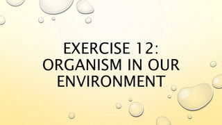 EXERCISE 12:
ORGANISM IN OUR
ENVIRONMENT
 
