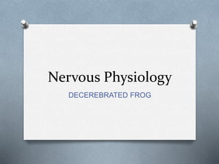 Nervous Physiology
DECEREBRATED FROG
 