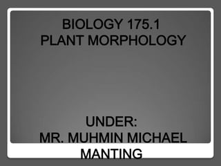 BIOLOGY 175.1
PLANT MORPHOLOGY




      UNDER:
MR. MUHMIN MICHAEL
     MANTING
 