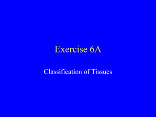 Exercise 6A
Classification of Tissues

 