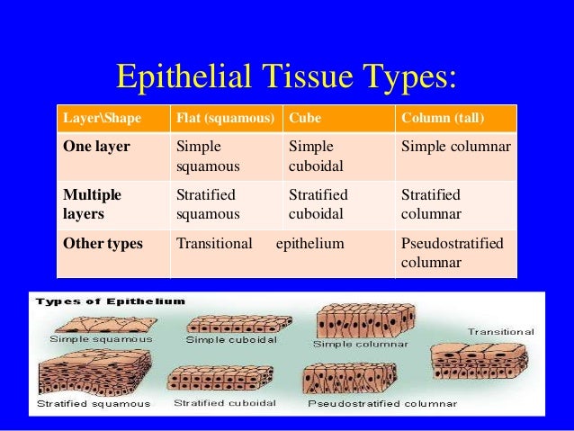 exercise 6 ap lab 7 638