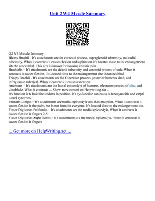 Exercise Analysis Bird Dog | PDF