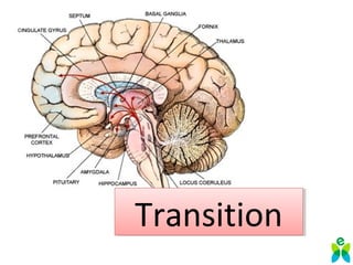 TransitionTransition
 