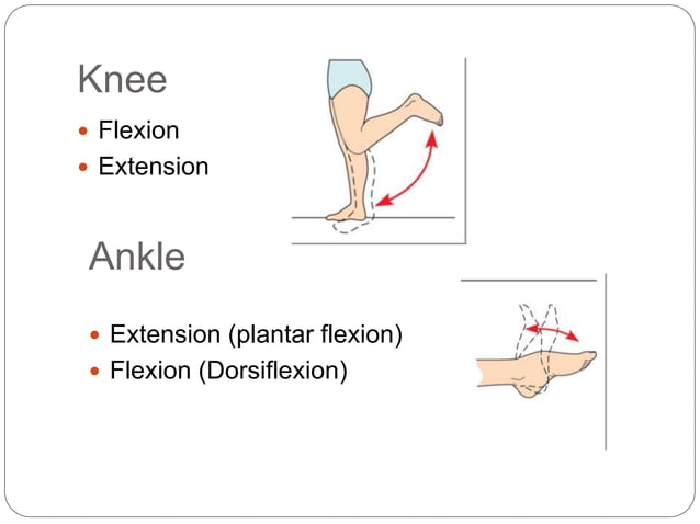 Exercise and range of motion exercises | PPTX | Physical Therapy | Wellness