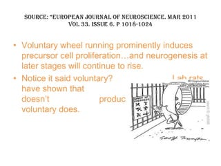 Source: “european journal of neuroScience. mar 2011
               vol 33. issue 6. p 1018-1024


• Voluntary wheel running prominently induces
  precursor cell proliferation…and neurogenesis at
  later stages will continue to rise.
• Notice it said voluntary?                 Lab rats
  have shown that                 forced exercise
  doesn’t               produce the benefits that
  voluntary does.
 
