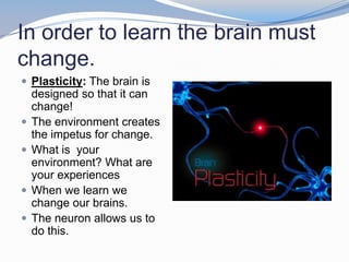 In order to learn the brain must
change.
 Plasticity: The brain is
    designed so that it can
    change!
   The environment creates
    the impetus for change.
   What is your
    environment? What are
    your experiences
   When we learn we
    change our brains.
   The neuron allows us to
    do this.
 