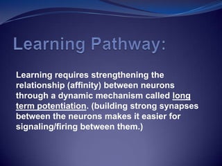 Learning requires strengthening the
relationship (affinity) between neurons
through a dynamic mechanism called long
term potentiation. (building strong synapses
between the neurons makes it easier for
signaling/firing between them.)
 