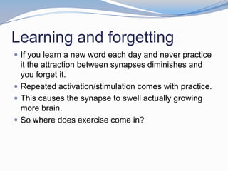 Learning and forgetting
 If you learn a new word each day and never practice
  it the attraction between synapses diminishes and
  you forget it.
 Repeated activation/stimulation comes with practice.
 This causes the synapse to swell actually growing
  more brain.
 So where does exercise come in?
 