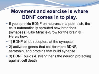 Movement and exercise is where
      BDNF comes in to play.
 If you sprinkle BDNF on neurons in a petri-dish, the
  cells automatically sprouted new branches
  (synapses.) Like Miracle-Grow for the brain .
  Here’s how:
 1) BDNF binds receptors at the synapse
 2) activates genes that call for more BDNF,
  serotonin, and proteins that build synapse
 3) BDNF builds & strengthens the neuron protecting
  against cell death
 