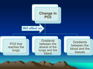 Exercise at altitude