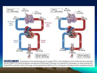 Exercise at altitude