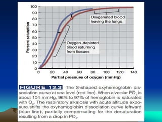 Exercise at altitude