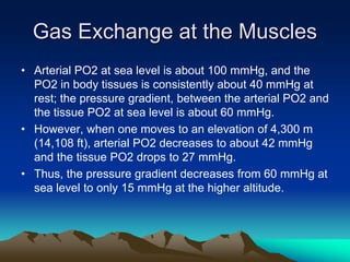 Exercise at altitude