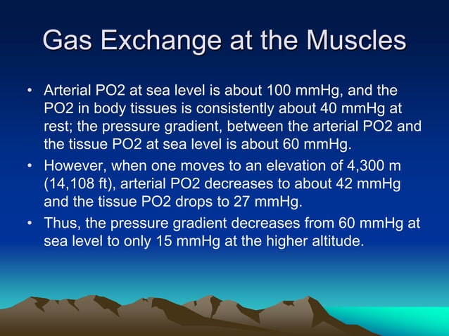 Exercise at altitude | PPTX | Lung and Respiratory Health | Diseases ...