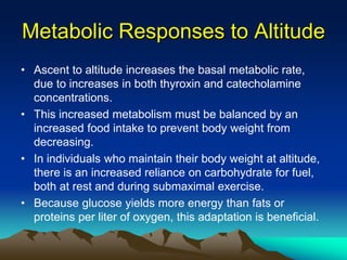 Exercise at altitude