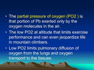 Exercise at altitude