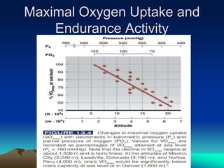 Exercise at altitude