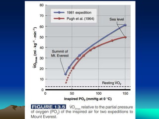 Exercise at altitude