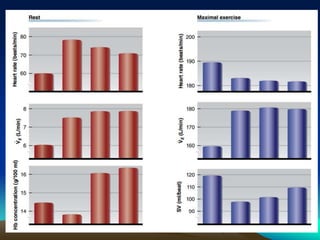 Exercise at altitude