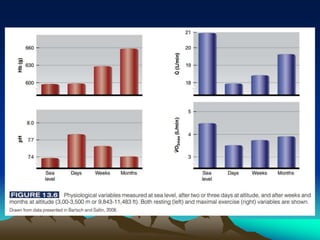 Exercise at altitude