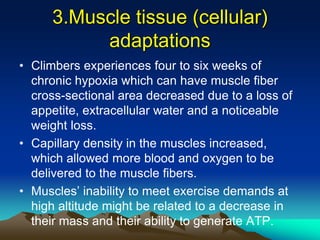 Exercise at altitude