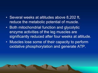 Exercise at altitude