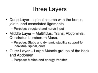 Three Layers Deep Layer – spinal column with the bones, joints, and associated ligaments Purpose: structure and nerve input Middle Layer – Multifidus, Trans. Abdominis, Quadratus Lumborum Musc. Purpose: Static and dynamic stability support for individual spinal joints Outer Layer – Large Muscle groups of the back and Abdomen Purpose: Motion and energy transfer 