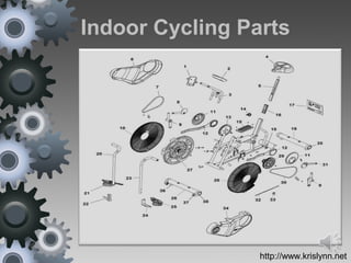 Indoor Cycling Parts
http://www.krislynn.net
 