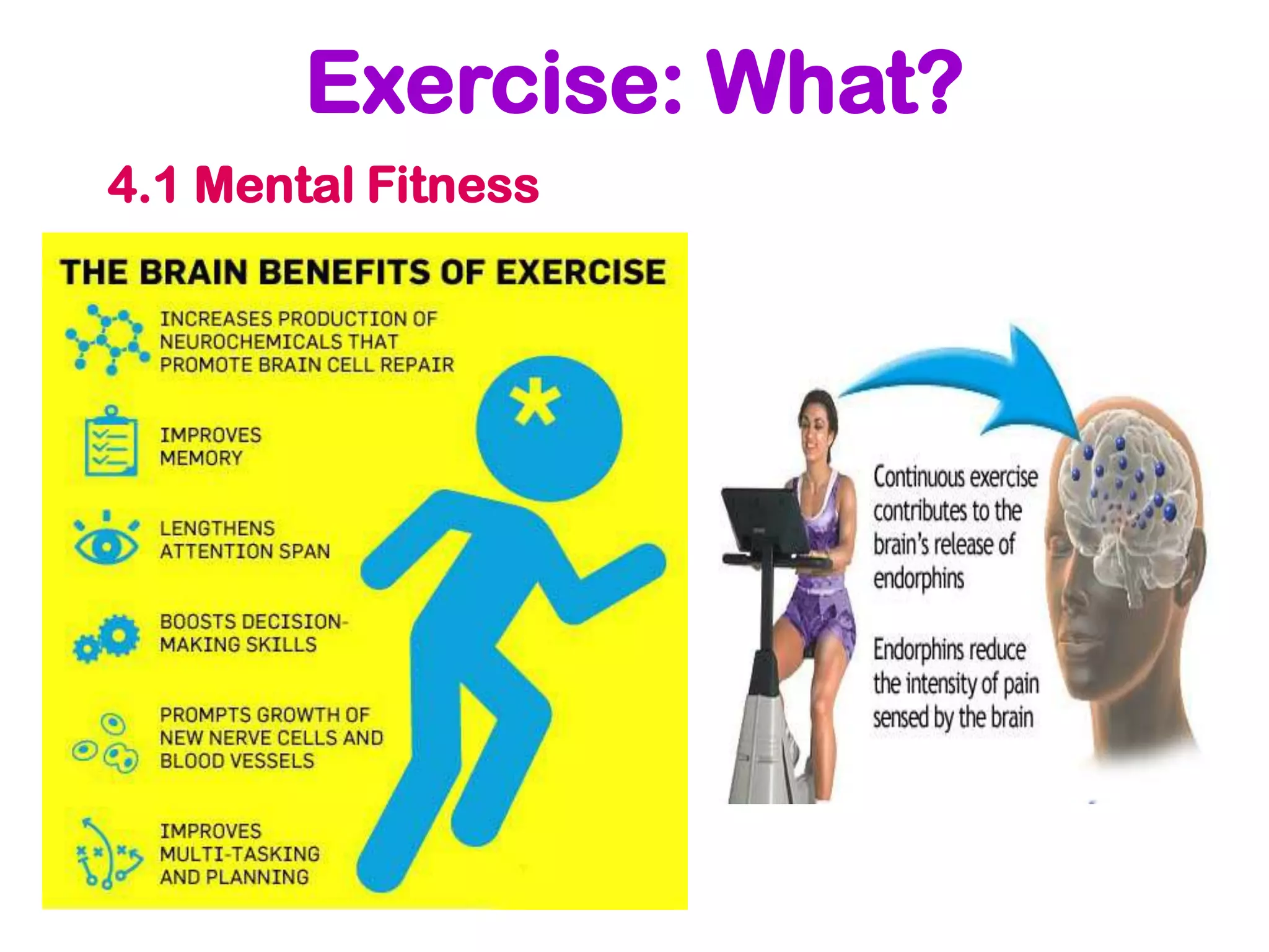 Exercise: What?
4.1 Mental Fitness
 