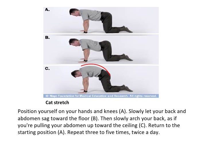 Exercise for low back pain mayo clinic
