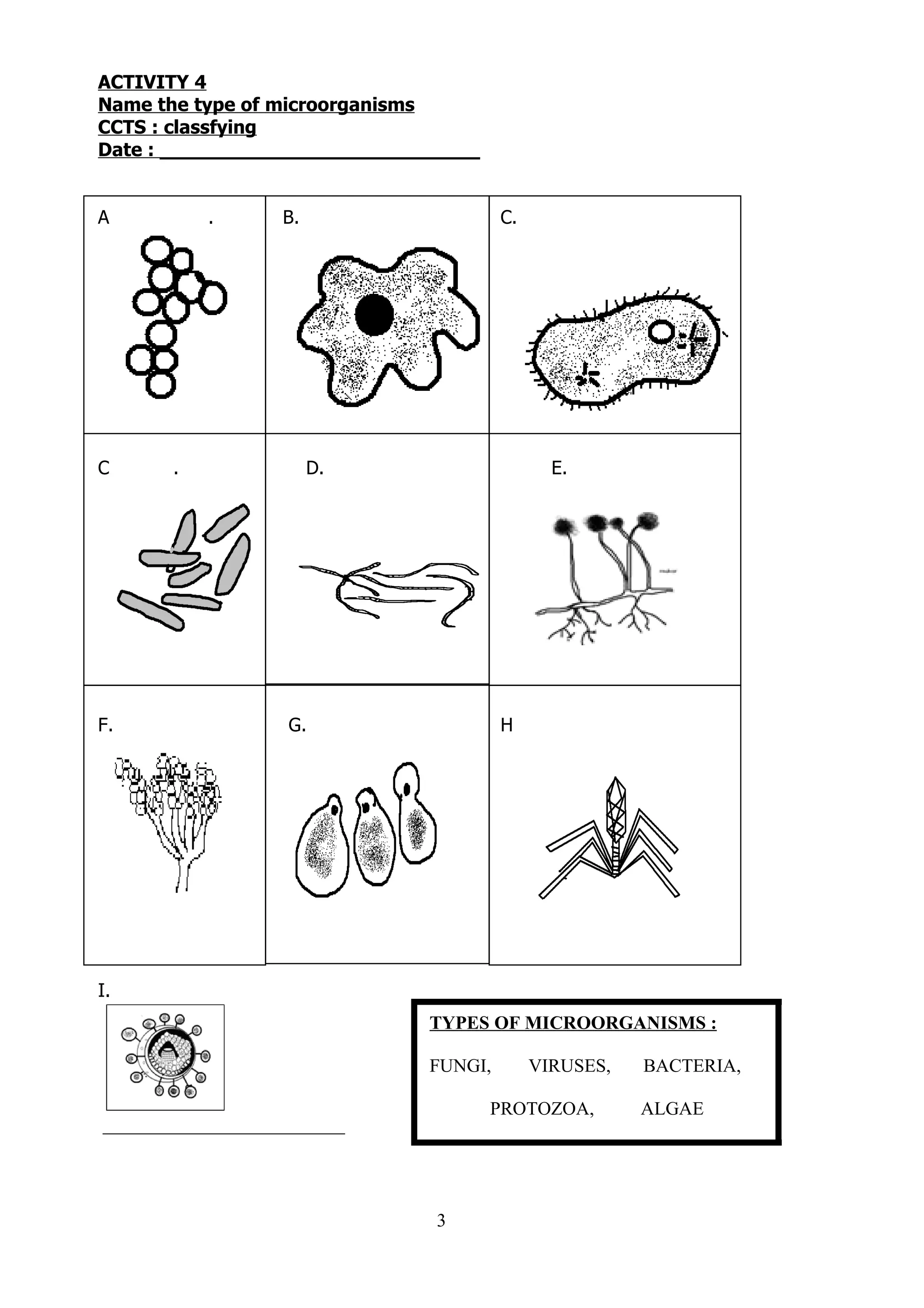 ACTIVITY 4
Name the type of microorganisms
CCTS : classfying
Date : ___________________________


A          .       B.                 C.




C      .                D.                   E.




F.                 G.                 H




I.
                             TYPES OF MICROORGANISMS :

                             FUNGI,        VIRUSES,   BACTERIA,

                                     PROTOZOA,        ALGAE
__________________________




                              3
 