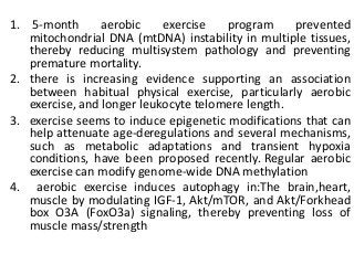 1. 5-month aerobic exercise program prevented
mitochondrial DNA (mtDNA) instability in multiple tissues,
thereby reducing multisystem pathology and preventing
premature mortality.
2. there is increasing evidence supporting an association
between habitual physical exercise, particularly aerobic
exercise, and longer leukocyte telomere length.
3. exercise seems to induce epigenetic modifications that can
help attenuate age-deregulations and several mechanisms,
such as metabolic adaptations and transient hypoxia
conditions, have been proposed recently. Regular aerobic
exercise can modify genome-wide DNA methylation
4. aerobic exercise induces autophagy in:The brain,heart,
muscle by modulating IGF-1, Akt/mTOR, and Akt/Forkhead
box O3A (FoxO3a) signaling, thereby preventing loss of
muscle mass/strength
 