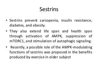 Sestrins
• Sestrins prevent sarcopenia, insulin resistance,
diabetes, and obesity.
• They also extend life span and health span
through activation of AMPK, suppression of
mTORC1, and stimulation of autophagic signaling.
• Recently, a possible role of the AMPK-modulating
functions of sestrins was proposed in the benefits
produced by exercise in older subject
 