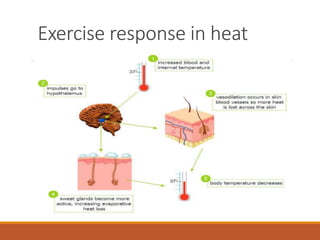 exercise in hot & cold environment.pptx