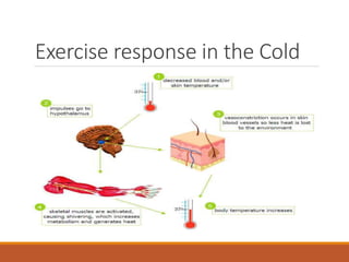 Cold Exposure Exercise exercise in hot & cold environment.pptx