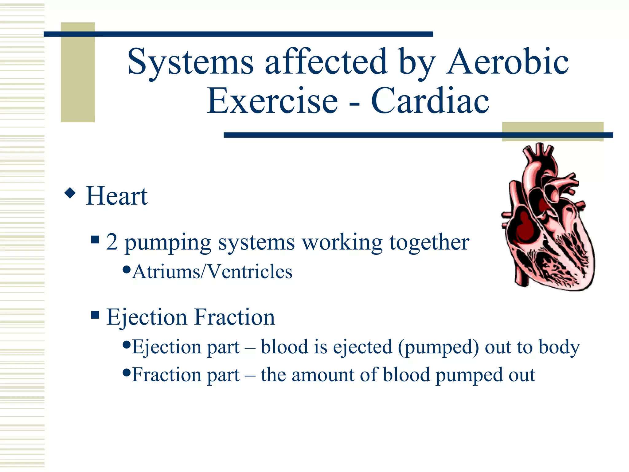 Systems affected by Aerobic Exercise - Cardiac Heart 2 pumping systems working together Atriums/Ventricles Ejection Fraction Ejection part – blood is ejected (pumped) out to body Fraction part – the amount of blood pumped out 